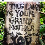 10895447 753199741442259 221119989 a