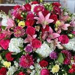 271364032 152372140466017 4197708863126909882 n