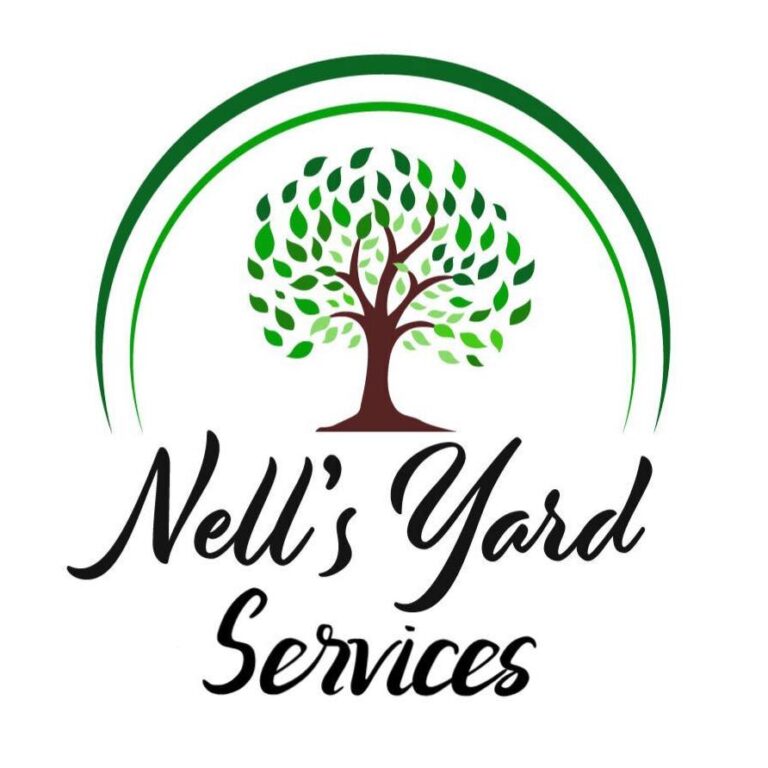 301385692 586824989518229 3531912109556592056 n 768x768