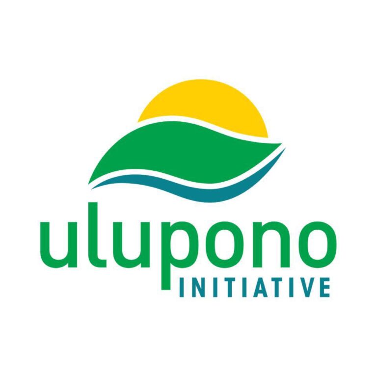 301807985 770731694147139 5322100516273454888 n 768x768