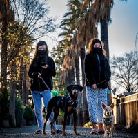 302165504 454603546684228 8760846034318186435 n