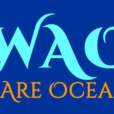 320582886 1376938646473170 9175906683187403161 n