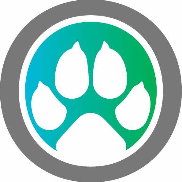 391730018 826903876106898 7111807388938874877 n