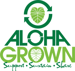 download 6 1718130749  02351