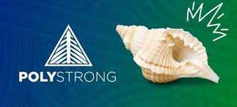 Polystrong logo